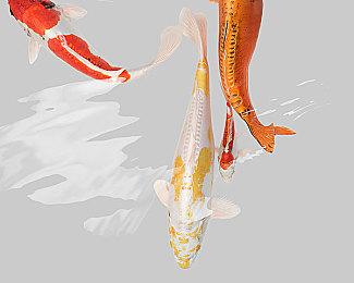 3DM速报：《NBA 2K22》正式公布 《FIFA 22》Steam国区被退款